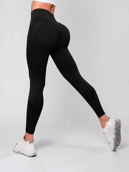 Shape - Edición Limitada de Invierno